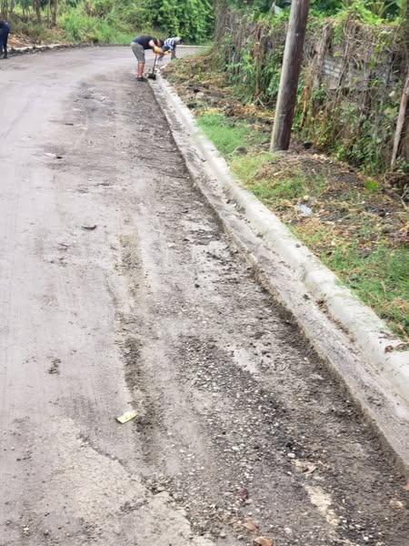 Jornada de Limpieza en Calle Mariita Reyes y alrededores de Canca la Piedra